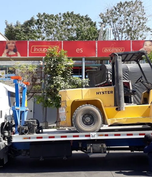 imagen 4 avicampo avicola