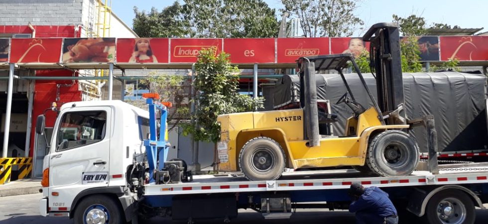 imagen 4 avicampo avicola